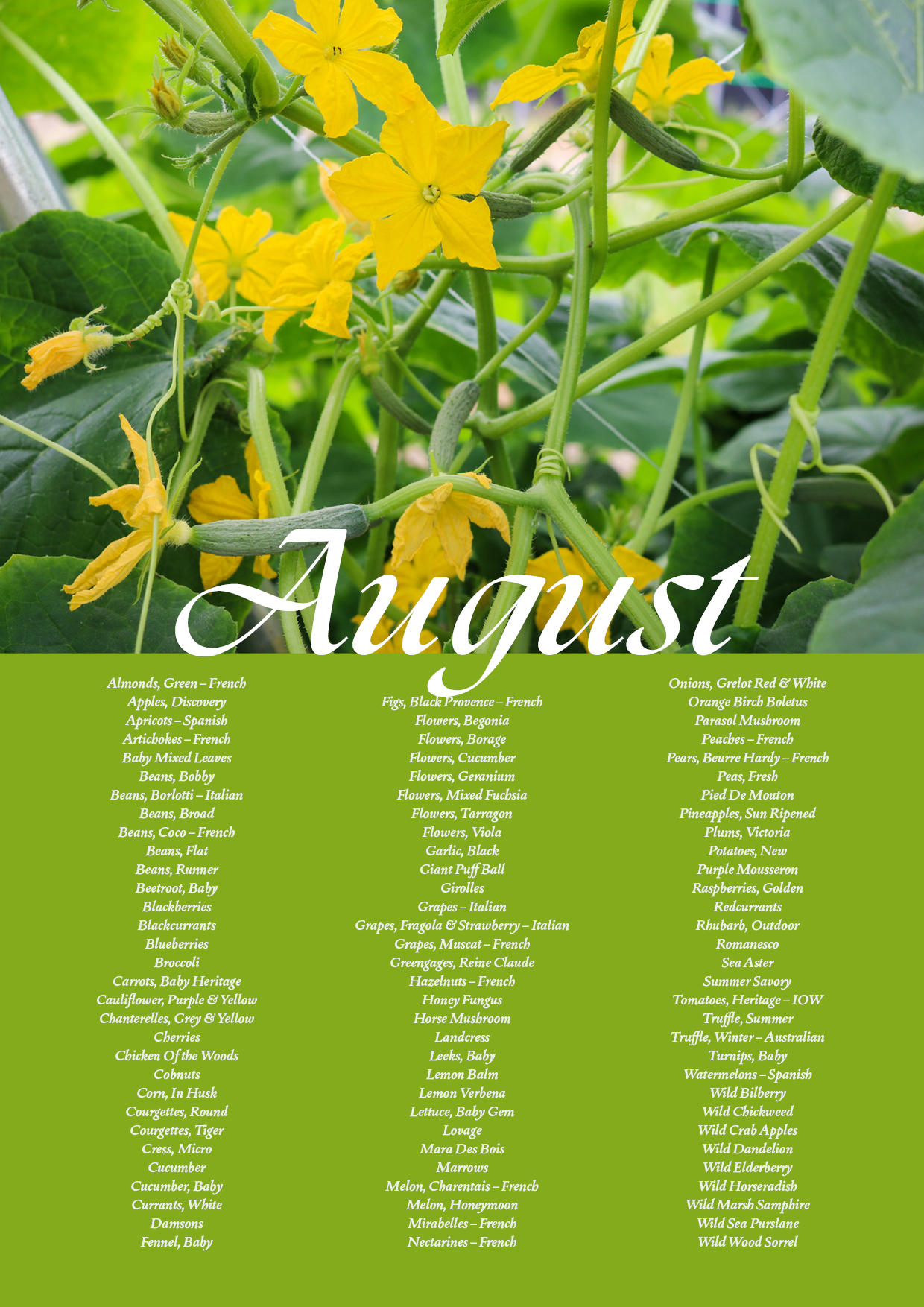 August Seasonal Guide