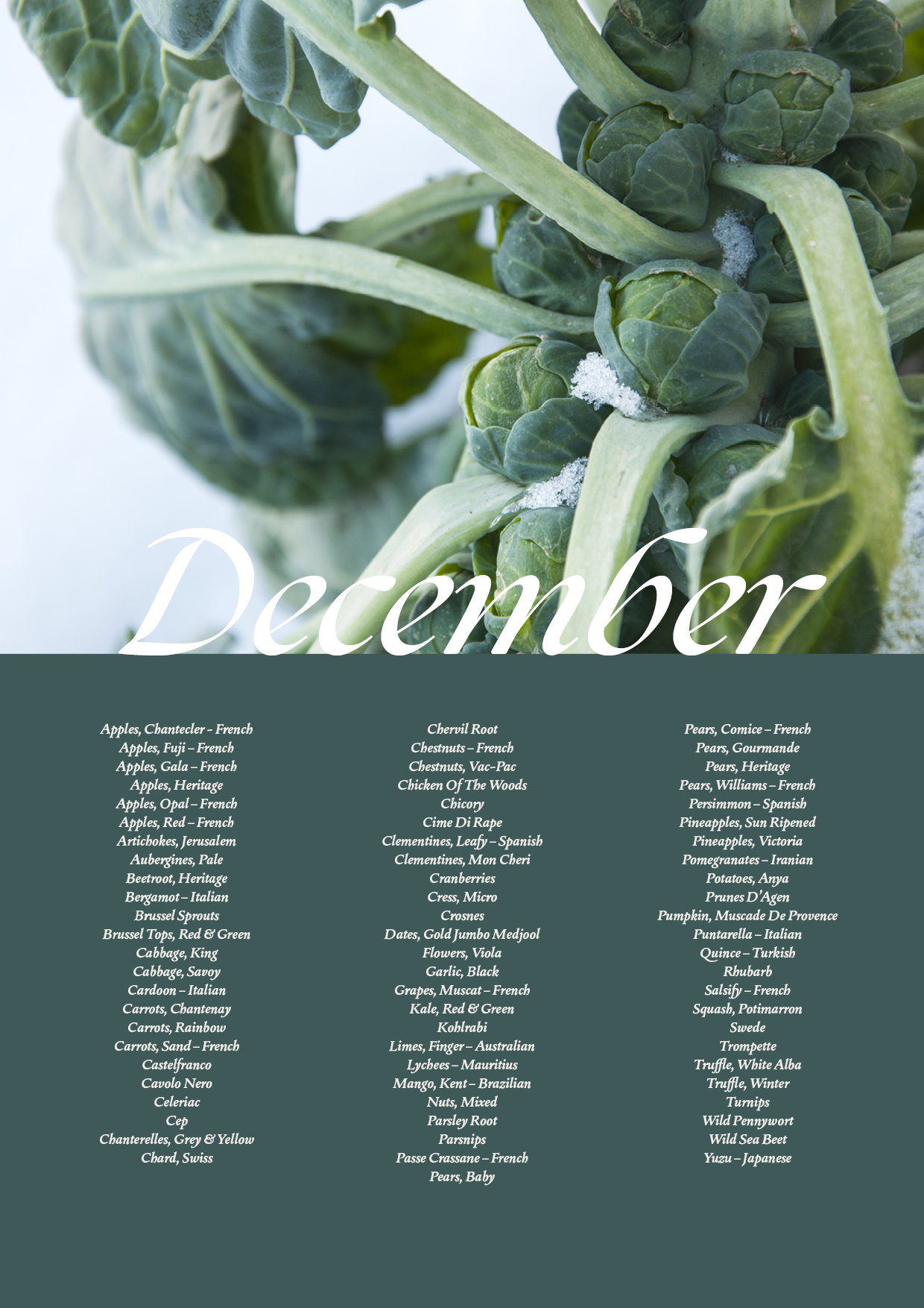 December Seasonal Guide