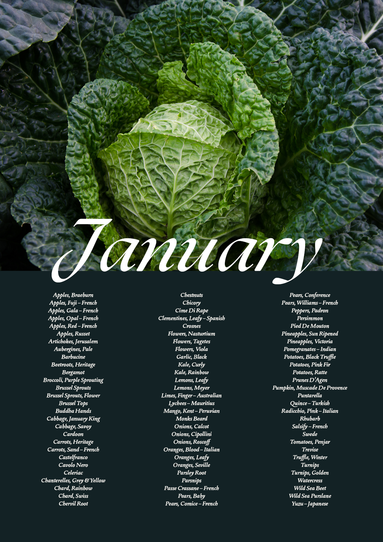 January Seasonal Guide