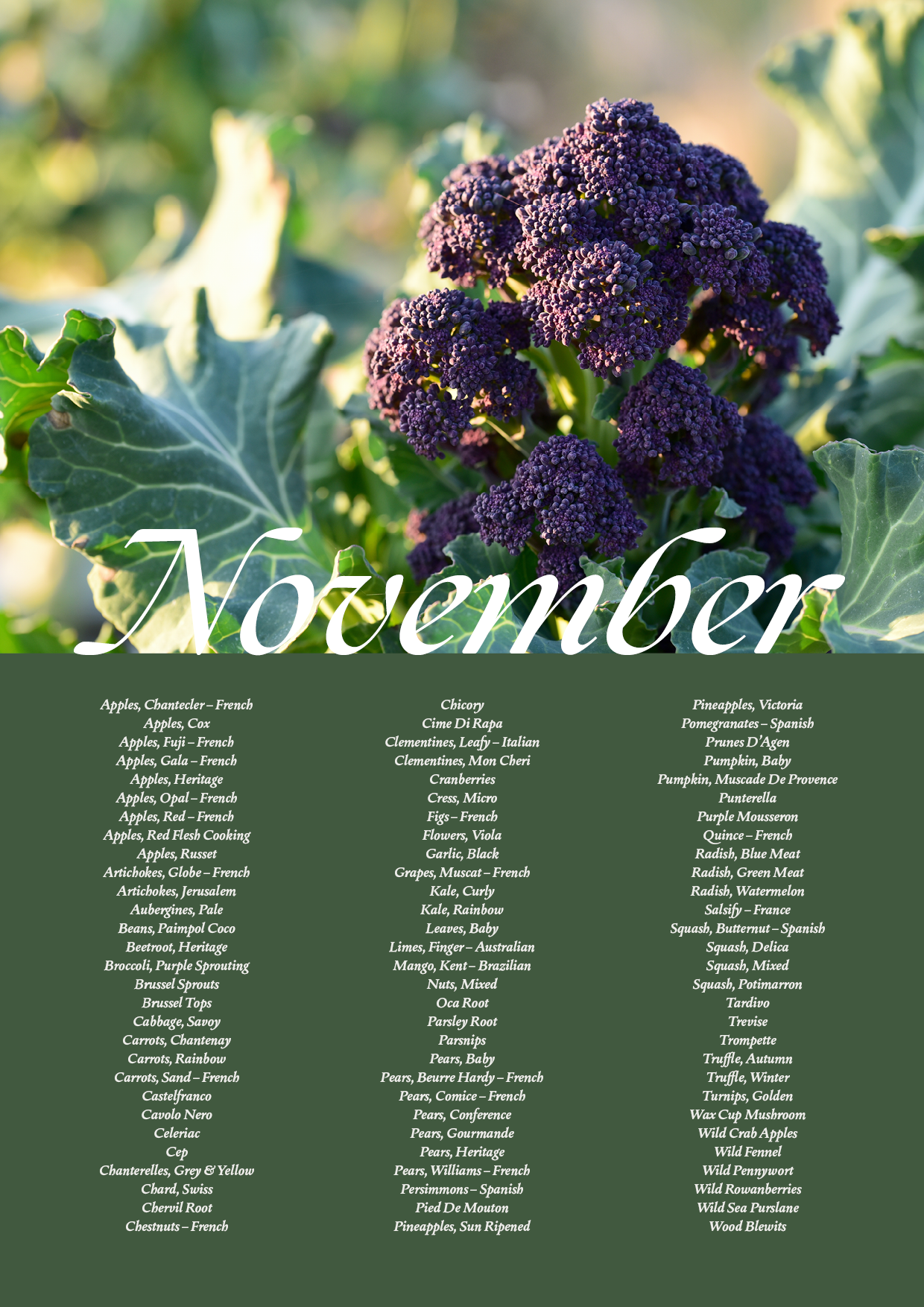November Seasonal Guide